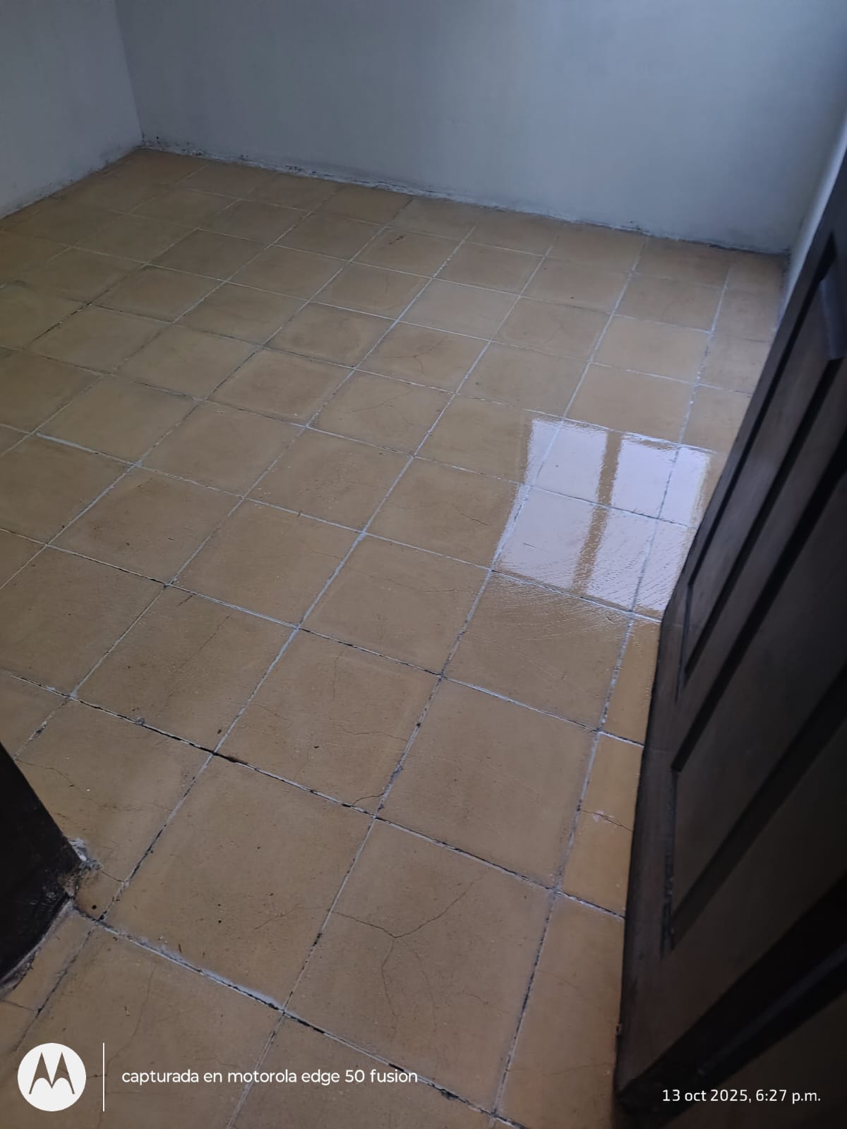 Acabado barrido antiderrapante en bodega industrial León Guanajuato - Proyecto 100 RRF