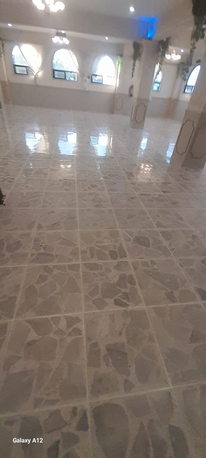 Concreto estampado decorativo en área comercial de León - Proyecto 87 RRF