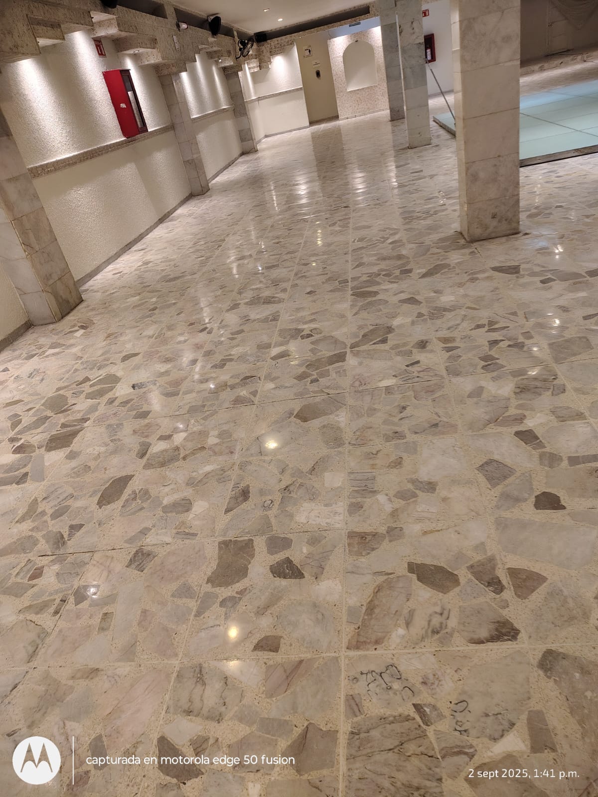 Concreto estampado con patrón decorativo en León Guanajuato - Proyecto 96 RRF